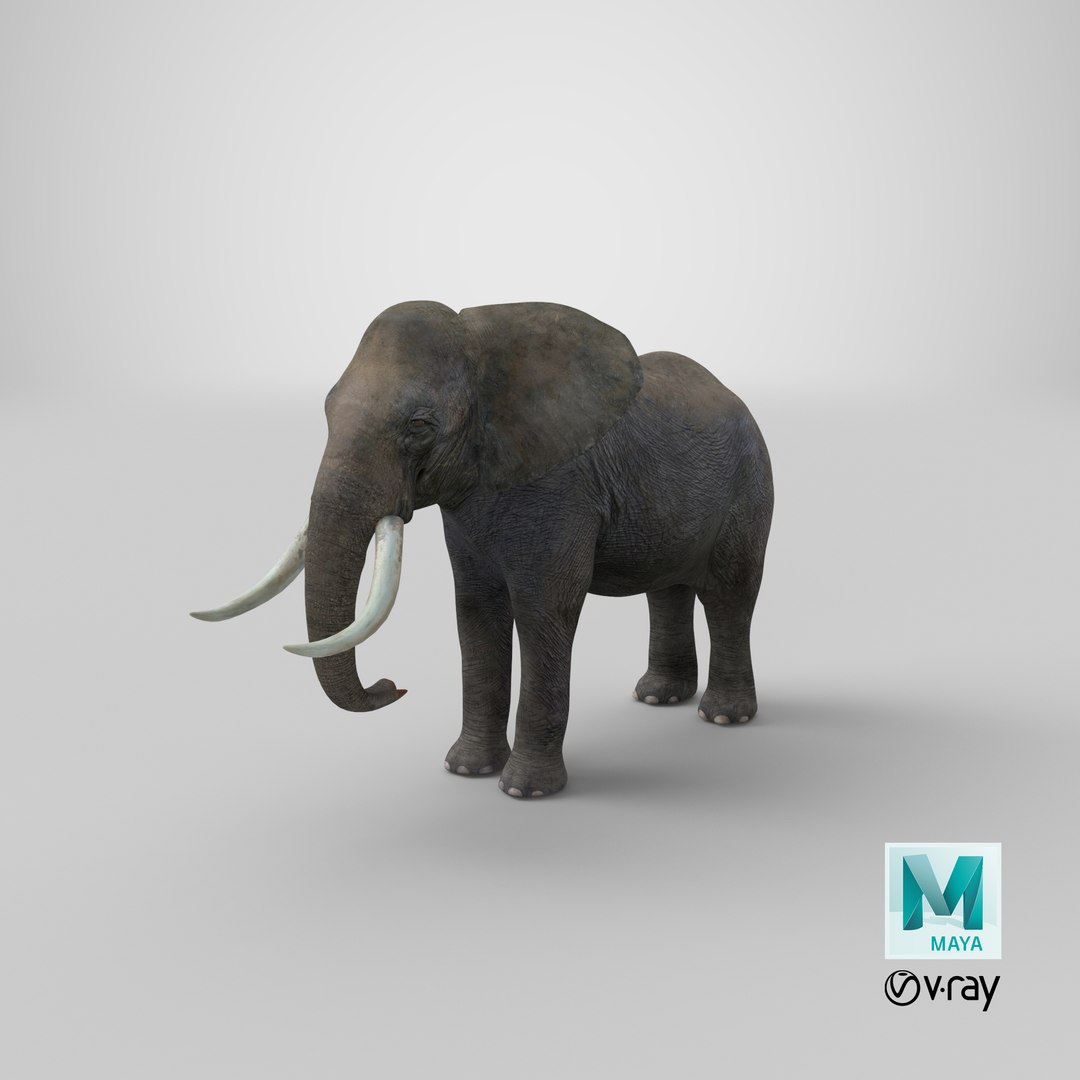 elephant realistic 3d 3ds https://p.turbosquid.com/ts-thumb/Mm/0P3JQ7/jQ/stemcell_maya_vray_render/png/1658128760/1920x1080/fit_q87/f71a043db68a32af2f1cc880d04ce04c9f2a290e/stemcell_maya_vray_render.jpg