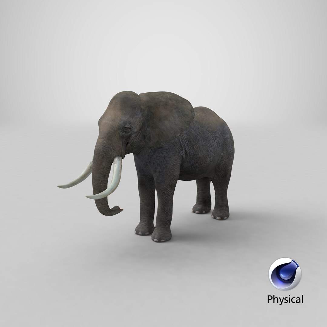 elephant realistic 3d 3ds https://p.turbosquid.com/ts-thumb/Mm/0P3JQ7/p5/stemcell_cinema_4d_physical_render/png/1658128745/1920x1080/fit_q87/7b250139a69b6adc102f36fc0f243cdcadc0ce7e/stemcell_cinema_4d_physical_render.jpg