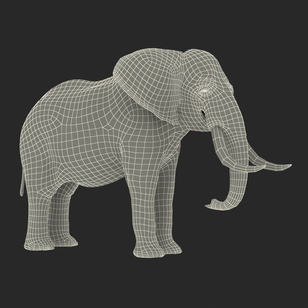 elephant realistic 3d 3ds https://p.turbosquid.com/ts-thumb/Mm/0P3JQ7/uYdlN5xe/elephant3dmodel27/jpg/1453135927/1920x1080/fit_q87/98255467e8b9cbc06e96f264952fafa280fddfe6/elephant3dmodel27.jpg