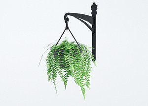 fern hanging pot 3D model
