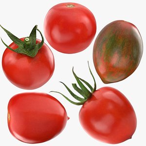 3D model Cherry Tomato Collection