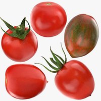 Cherry Tomato Collection