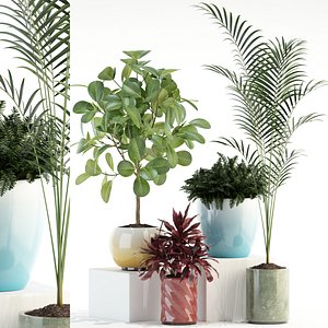 3D plants 92 model