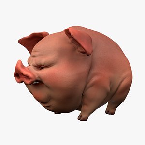 Pig