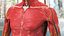 Complete Human Anatomy Collection 2 3D