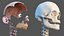 Complete Human Anatomy Collection 2 3D