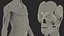 Complete Human Anatomy Collection 2 3D