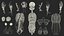 Complete Human Anatomy Collection 2 3D