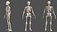 Complete Human Anatomy Collection 2 3D