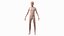 Complete Human Anatomy Collection 2 3D