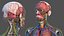 Complete Human Anatomy Collection 2 3D
