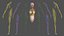 Complete Human Anatomy Collection 2 3D