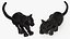 Black Panther Cub Sitting Pose
