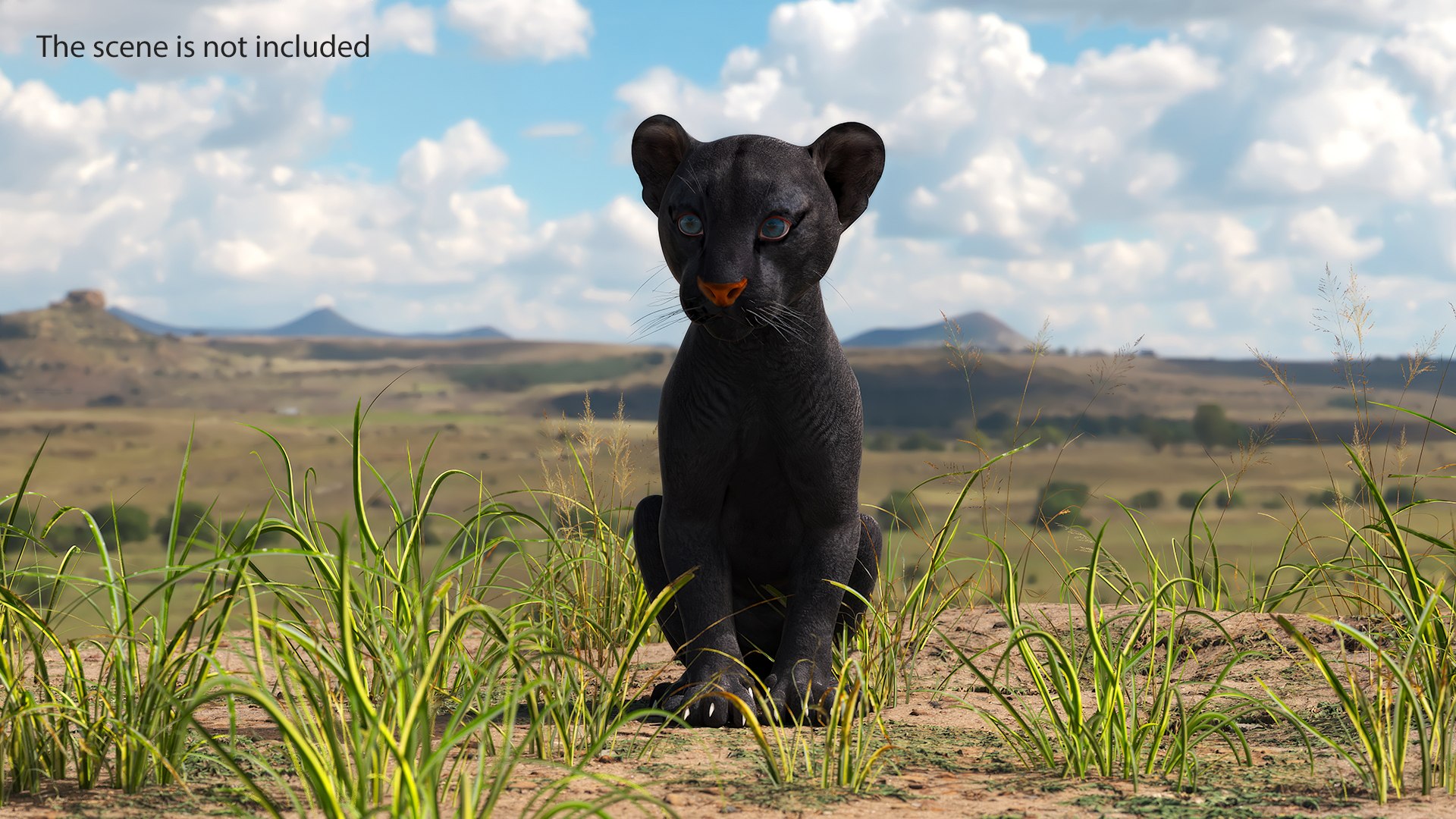 3D Black Panther Cub Sitting Pose https://p.turbosquid.com/ts-thumb/Mm/n8s3hv/TP/black_panther_cub_sitting_pose_004/jpg/1737128683/1920x1080/fit_q87/d19bde56b7a0869f074fb1769a34873bacd90bae/black_panther_cub_sitting_pose_004.jpg