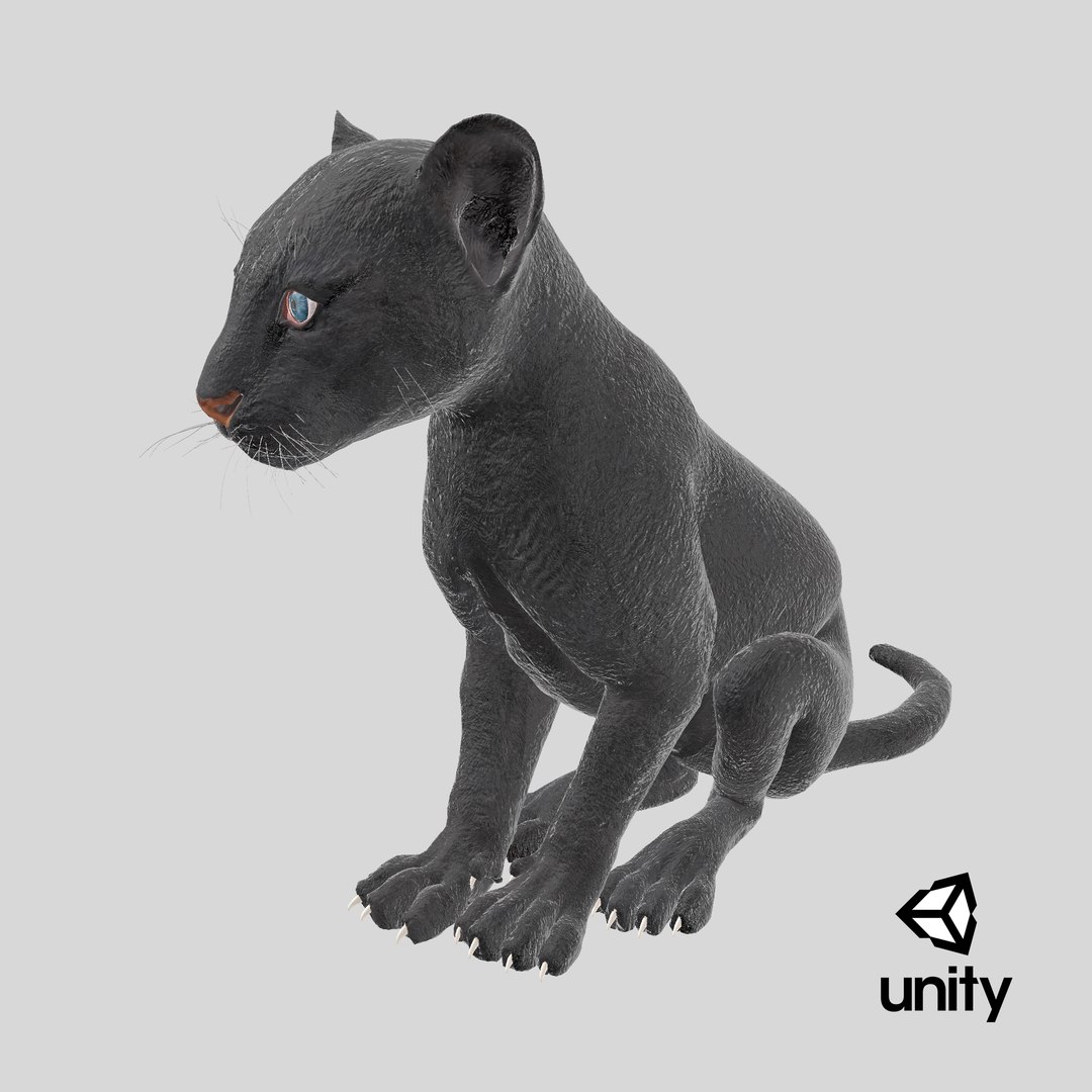 3D Black Panther Cub Sitting Pose https://p.turbosquid.com/ts-thumb/Mm/n8s3hv/ZA/stemcell_unity_render/png/1738945569/1920x1080/fit_q87/8cd14e3b67a85cc9c80162404b636801a432e991/stemcell_unity_render.jpg