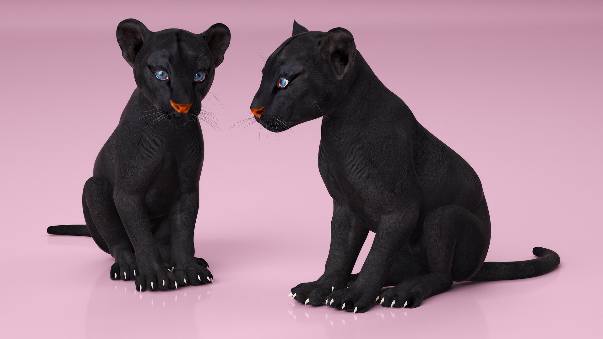 3D Black Panther Cub Sitting Pose https://p.turbosquid.com/ts-thumb/Mm/n8s3hv/ZE/black_panther_cub_sitting_pose_006/jpg/1737128693/1920x1080/fit_q87/a83f3f18ae2a3c8940db0439eadcd2f11c0b8f56/black_panther_cub_sitting_pose_006.jpg