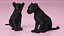 Black Panther Cub Sitting Pose