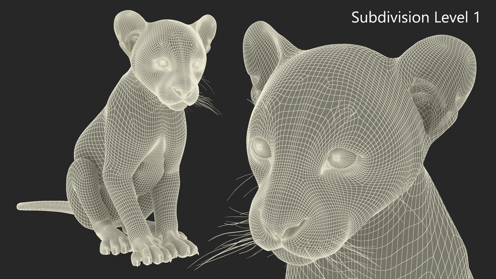 3D Black Panther Cub Sitting Pose https://p.turbosquid.com/ts-thumb/Mm/n8s3hv/dx/black_panther_cub_sitting_pose_012/jpg/1737128719/1920x1080/fit_q87/9bd6daa22968de1aa70cf594c632a09f383ee704/black_panther_cub_sitting_pose_012.jpg