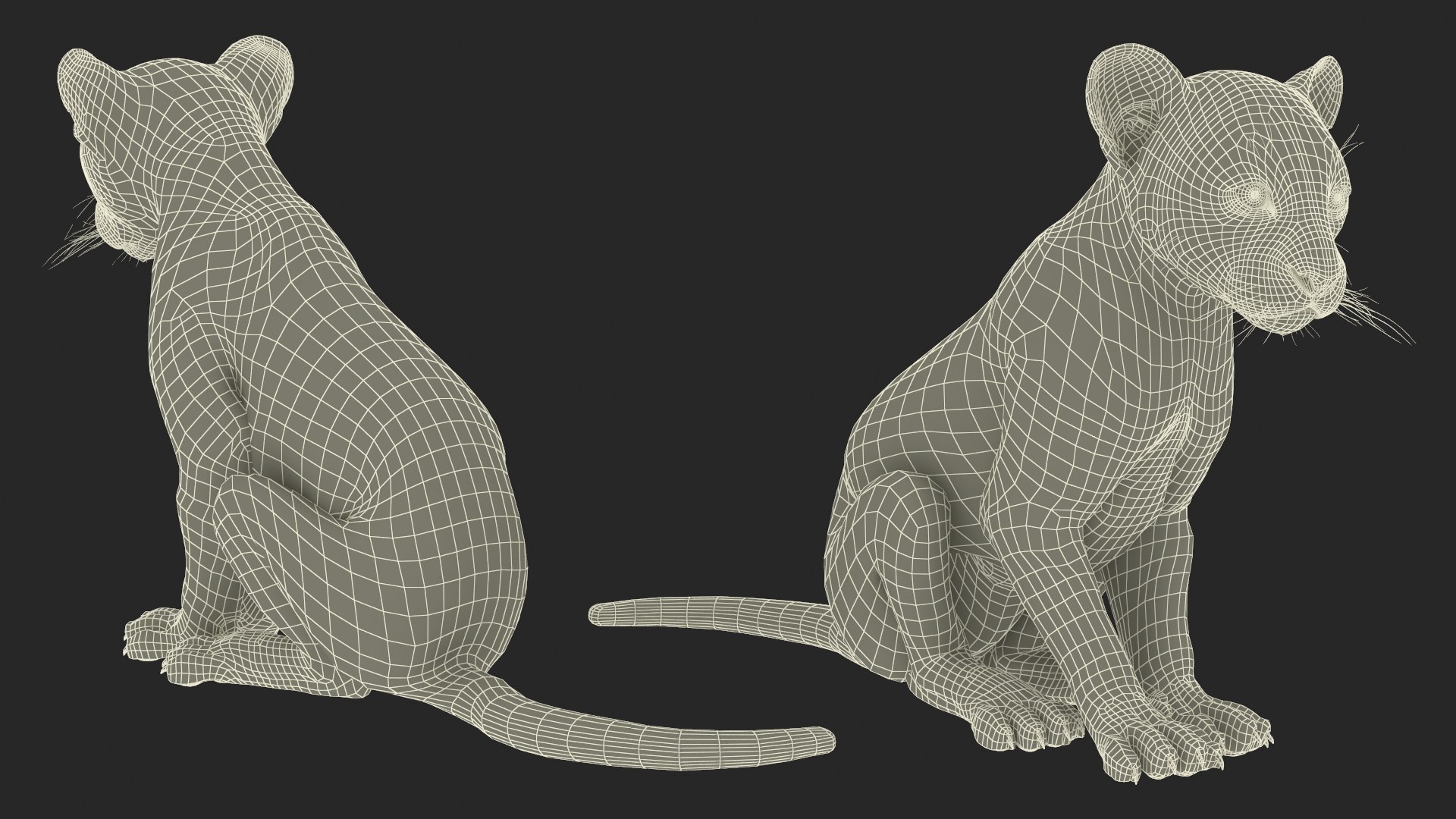 3D Black Panther Cub Sitting Pose https://p.turbosquid.com/ts-thumb/Mm/n8s3hv/md/black_panther_cub_sitting_pose_017/jpg/1737128741/1920x1080/fit_q87/7494d402f4f1172f864035c6760c2c18cba1de96/black_panther_cub_sitting_pose_017.jpg