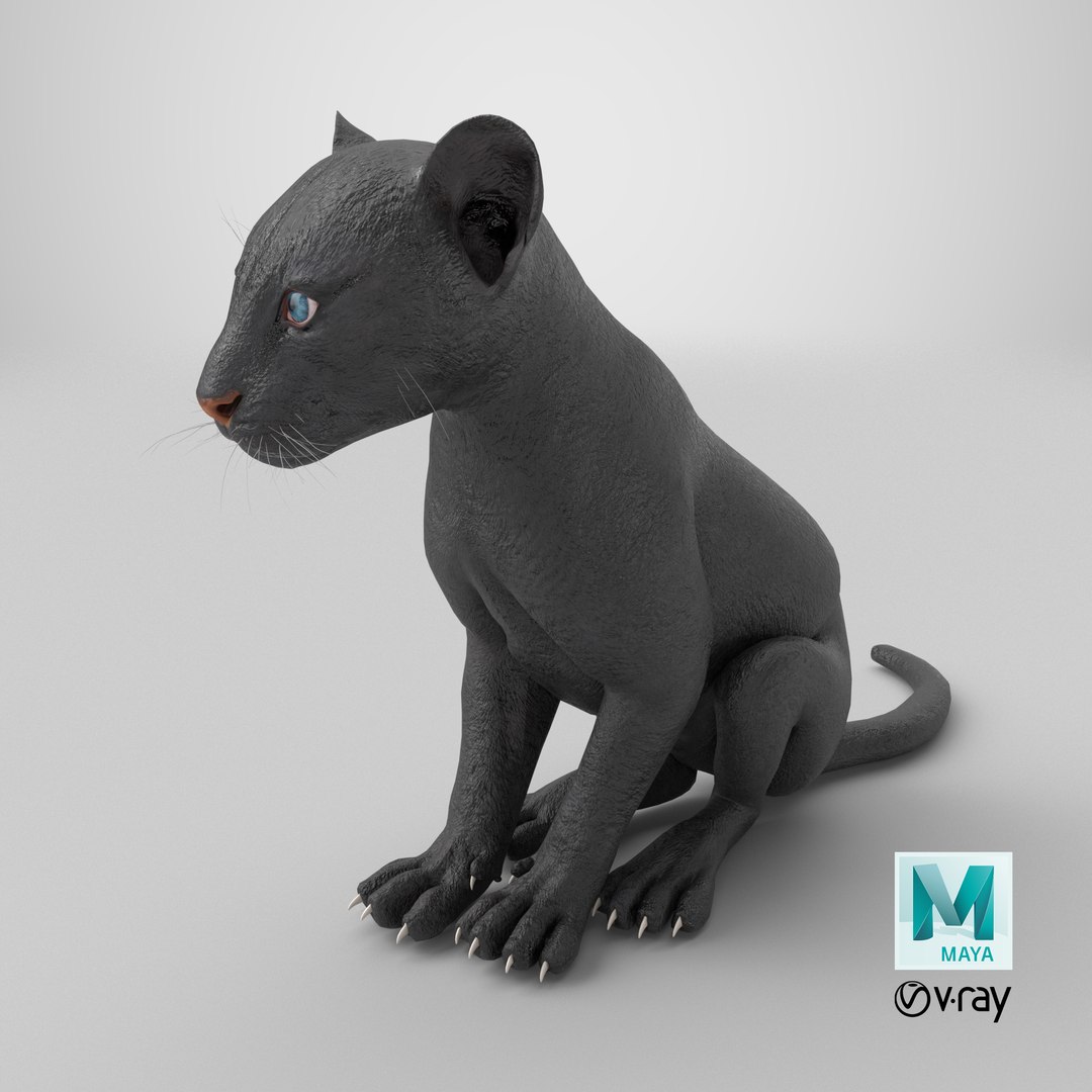 3D Black Panther Cub Sitting Pose https://p.turbosquid.com/ts-thumb/Mm/n8s3hv/vI/stemcell_maya_vray_render/png/1738945559/1920x1080/fit_q87/476aebc00555a63ead1d86a8f6392a94ba92a22c/stemcell_maya_vray_render.jpg