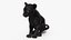Black Panther Cub Sitting Pose