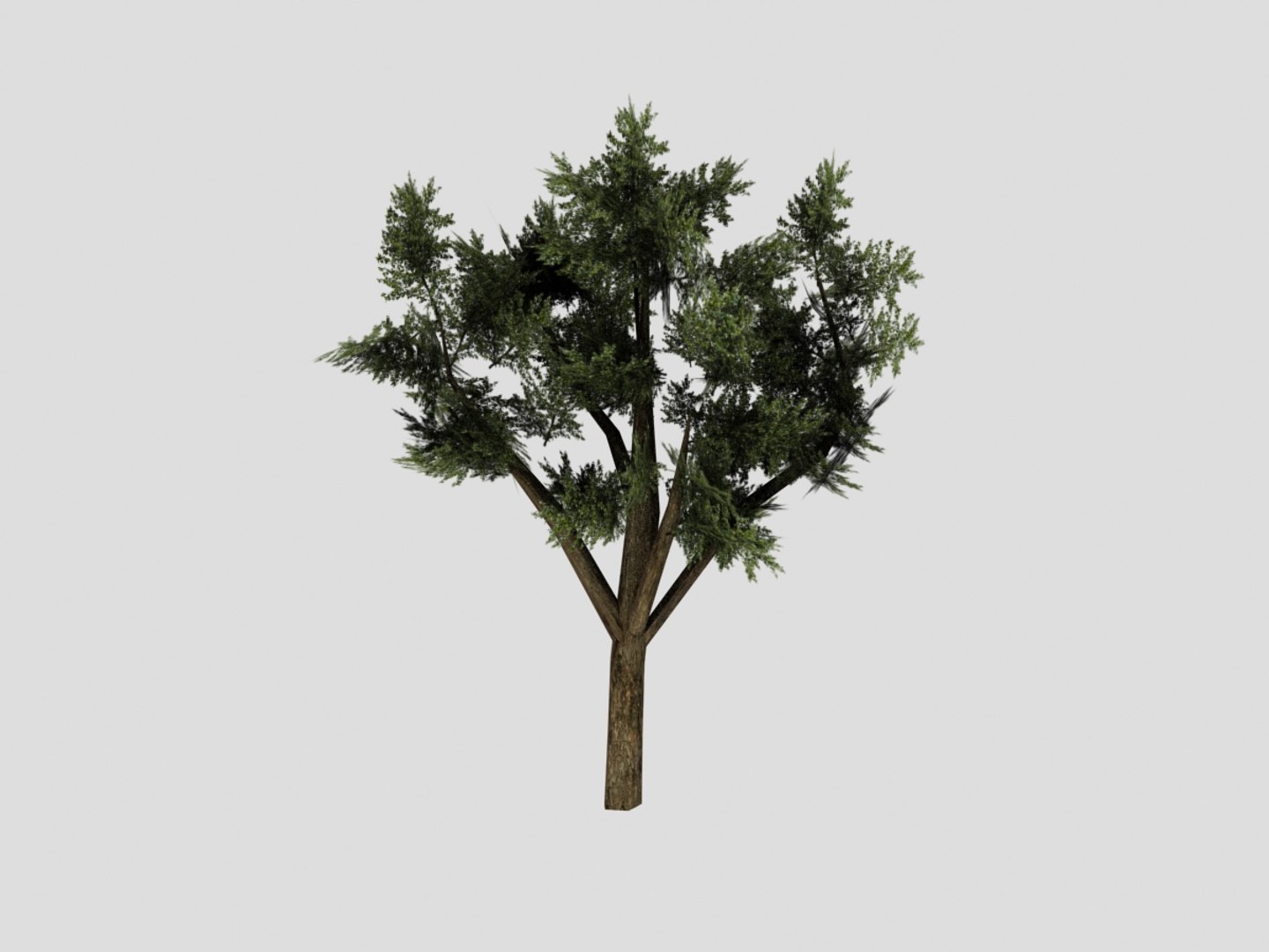 tree obj