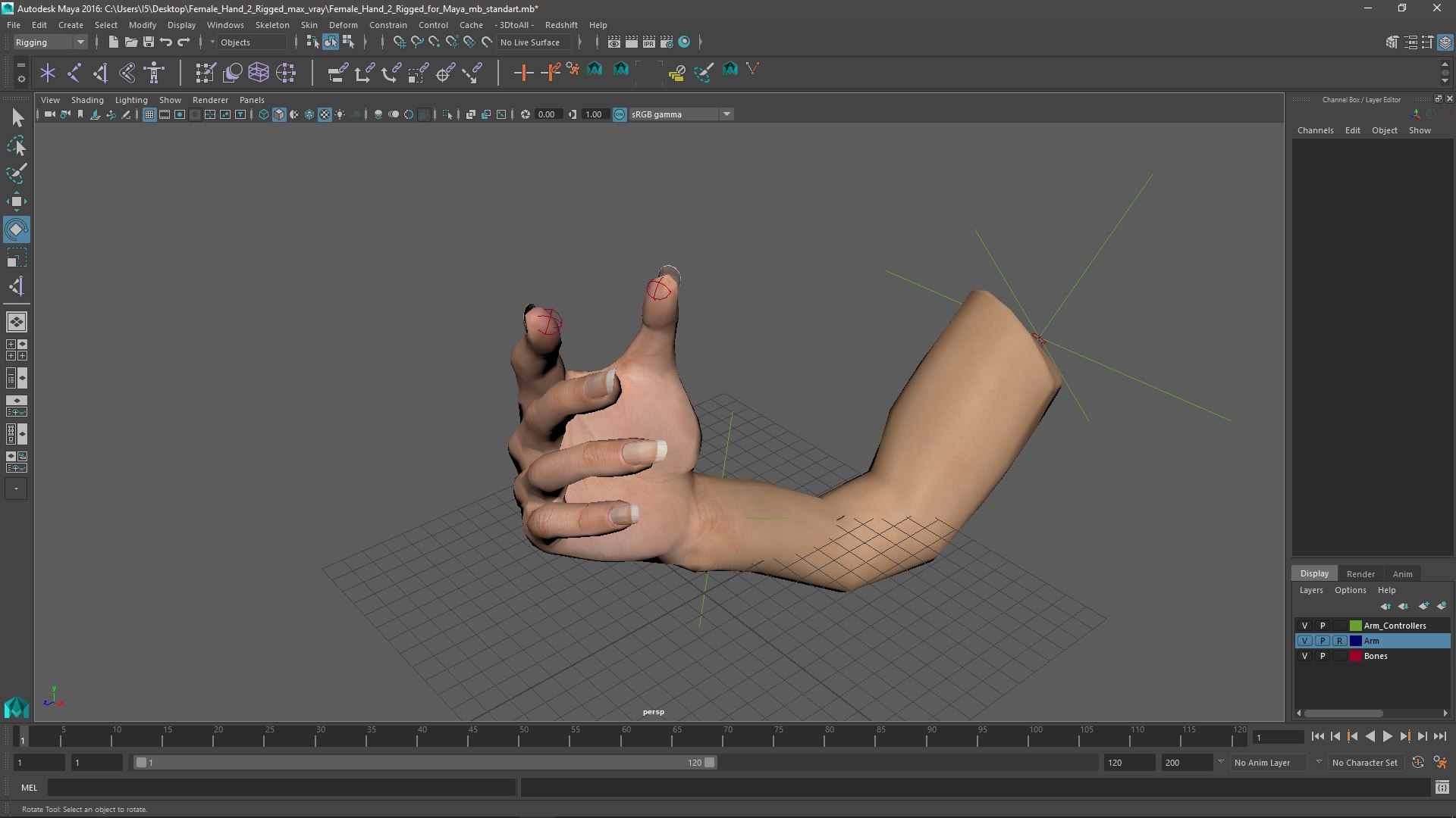 Female Hand 2 Rigged For Maya 3D Model - TurboSquid 2194602