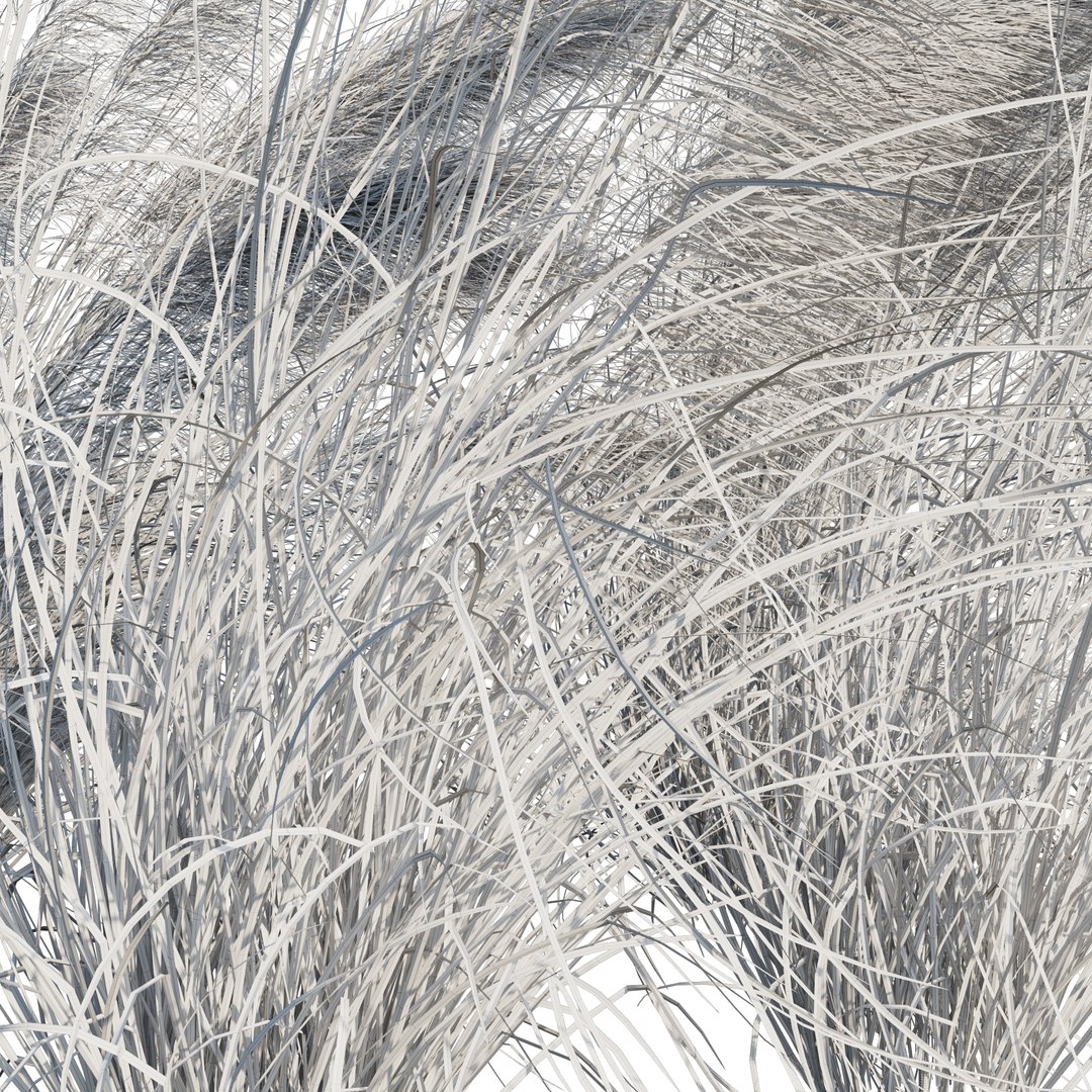 Muhlenbergia Capillaris - Pink Muhly Grass 06 model https://p.turbosquid.com/ts-thumb/Mn/2WChiJ/Ka/preview53/jpg/1660794254/1920x1080/fit_q87/d24b39d94b084b15b374ae975b66a11244e27bf6/preview53.jpg