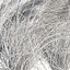 Muhlenbergia Capillaris - Pink Muhly Grass 06