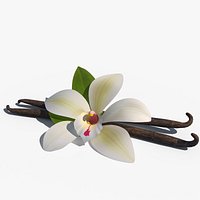 Vanilla Flower