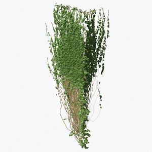 ivy pbr branches 3D model
