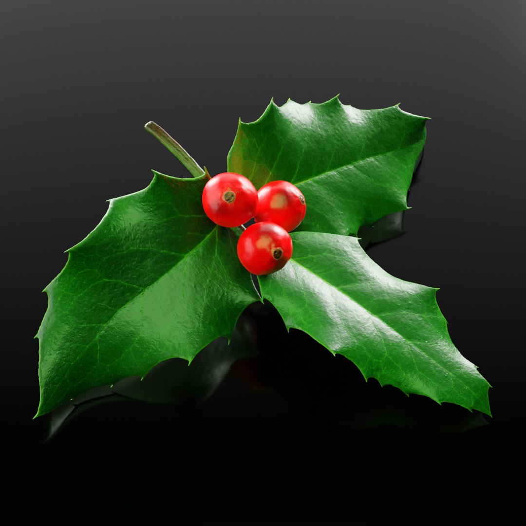 3D plant christmas https://p.turbosquid.com/ts-thumb/Mn/AERccN/HpYMQyc1/preview_02/jpg/1601406625/1920x1080/fit_q87/97ca8614c318bf78f315eacb5a844527aee70d65/preview_02.jpg
