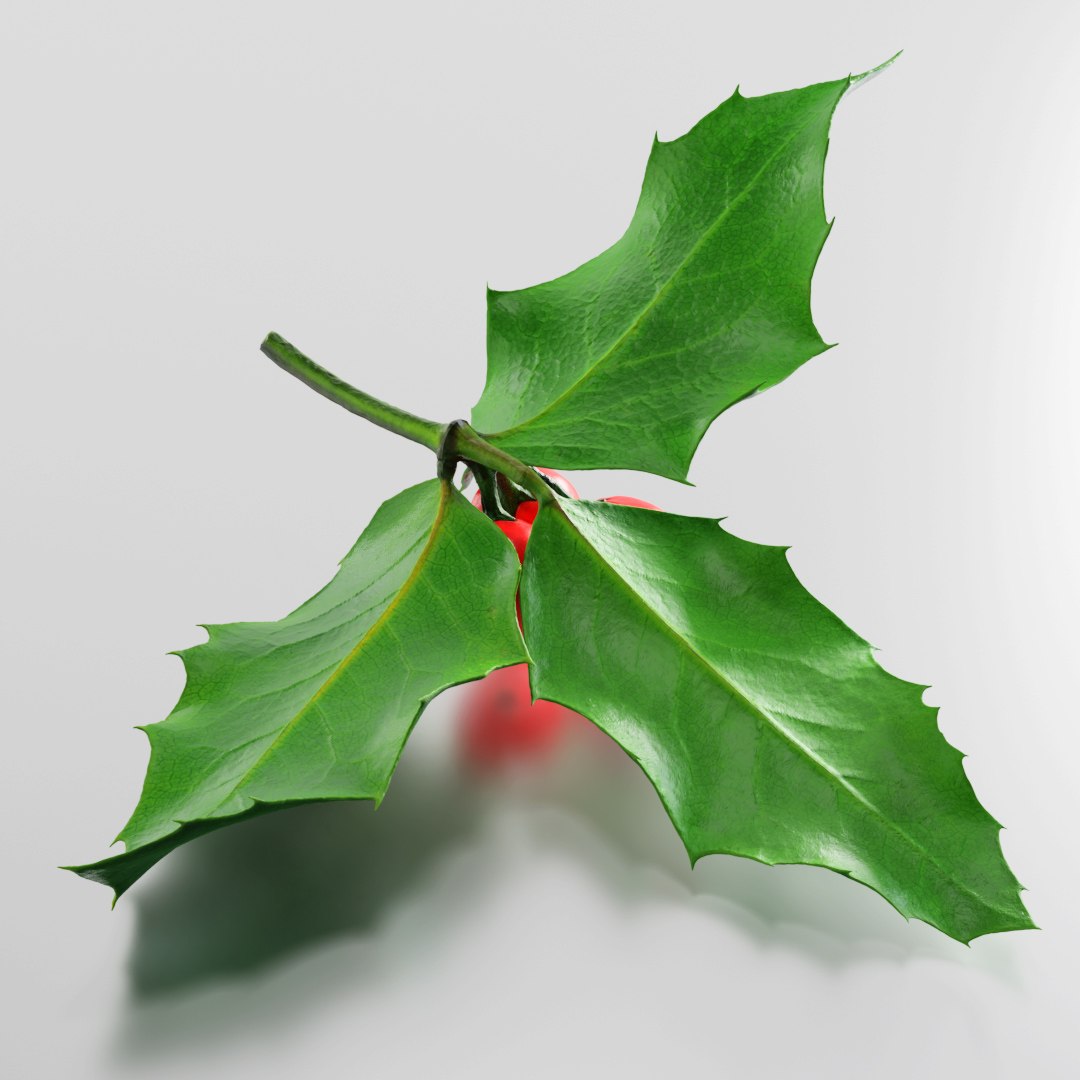 3D plant christmas https://p.turbosquid.com/ts-thumb/Mn/AERccN/Nn4KDxIn/preview_07/jpg/1601406625/1920x1080/fit_q87/01de7f4448a7984c18dd33ee18f352ba2494a8b7/preview_07.jpg