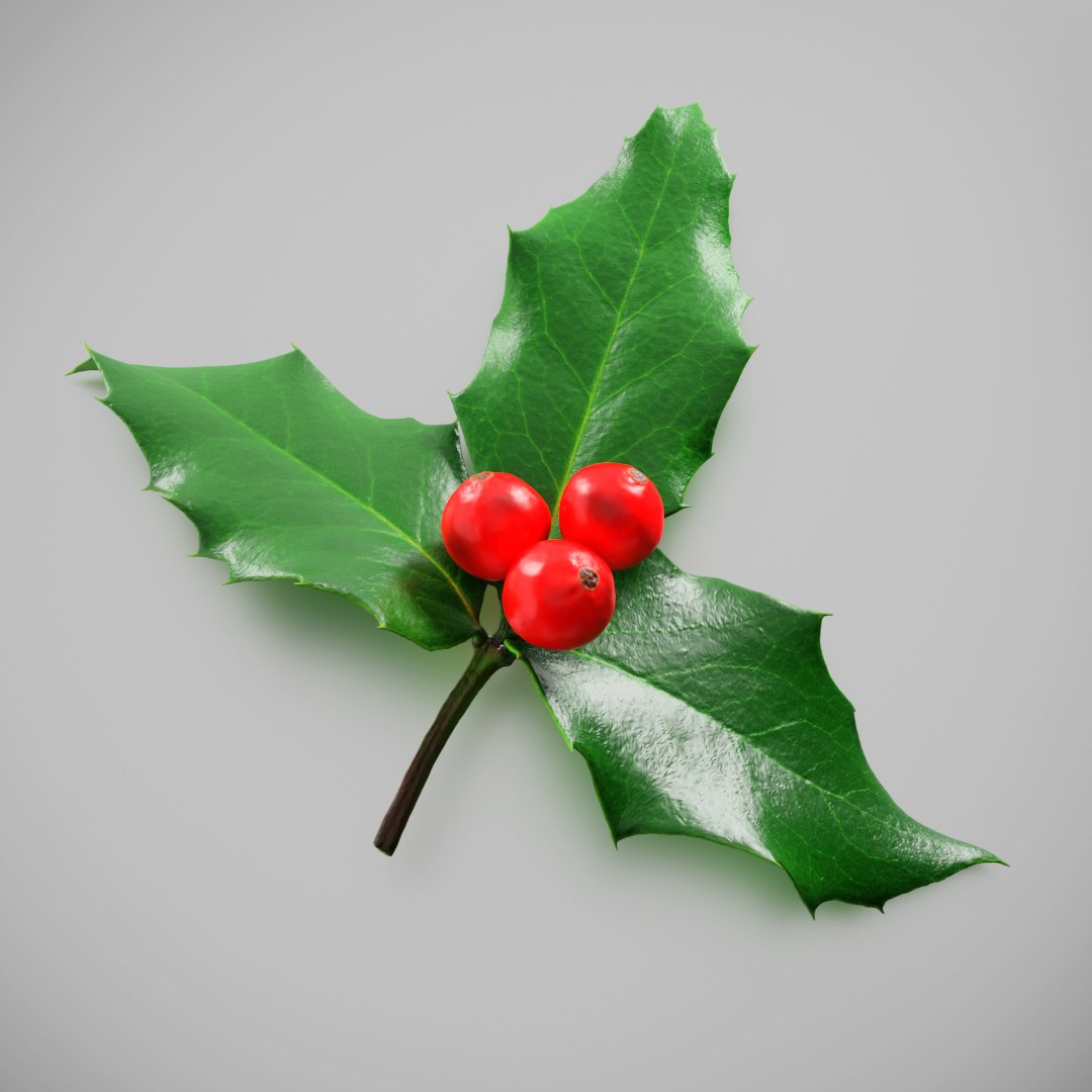 3D plant christmas https://p.turbosquid.com/ts-thumb/Mn/AERccN/Nw6xYbvO/preview_05/jpg/1601406625/1920x1080/fit_q87/d2fb815c5a99ed76fc0af1c513f34db03dc7af35/preview_05.jpg