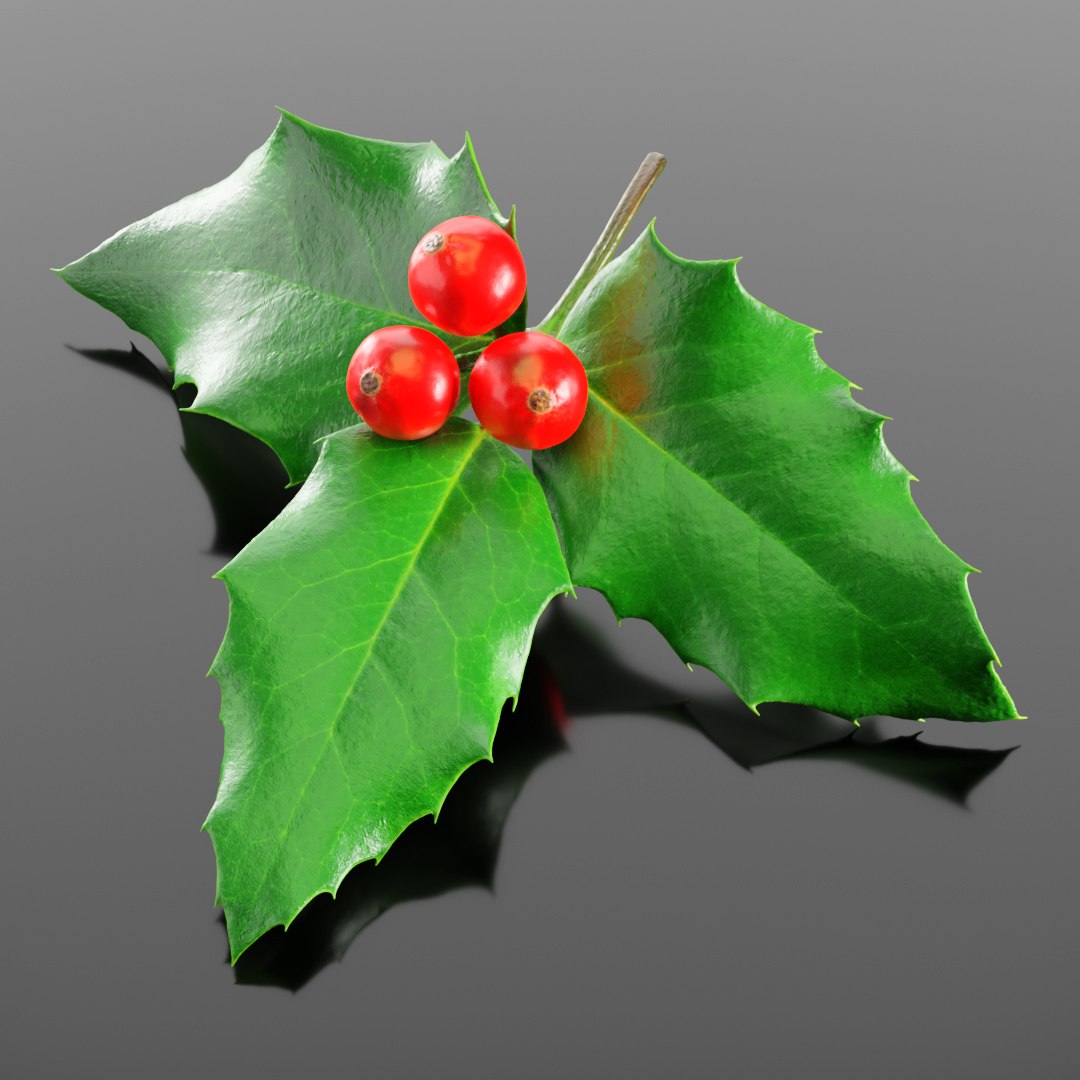 3D plant christmas https://p.turbosquid.com/ts-thumb/Mn/AERccN/RhquFxND/preview_01/jpg/1601406625/1920x1080/fit_q87/e94c01eda4571b7759fa5551f4612e6828499ae4/preview_01.jpg