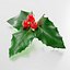 holly branch