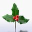 holly branch