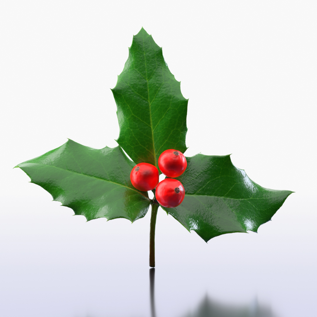 3D plant christmas https://p.turbosquid.com/ts-thumb/Mn/AERccN/iouvz4qR/turntable/jpg/1601407493/1920x1080/turn_fit_q99/b249844821258d9006d389800236e62c640c2ff0/turntable-1.jpg