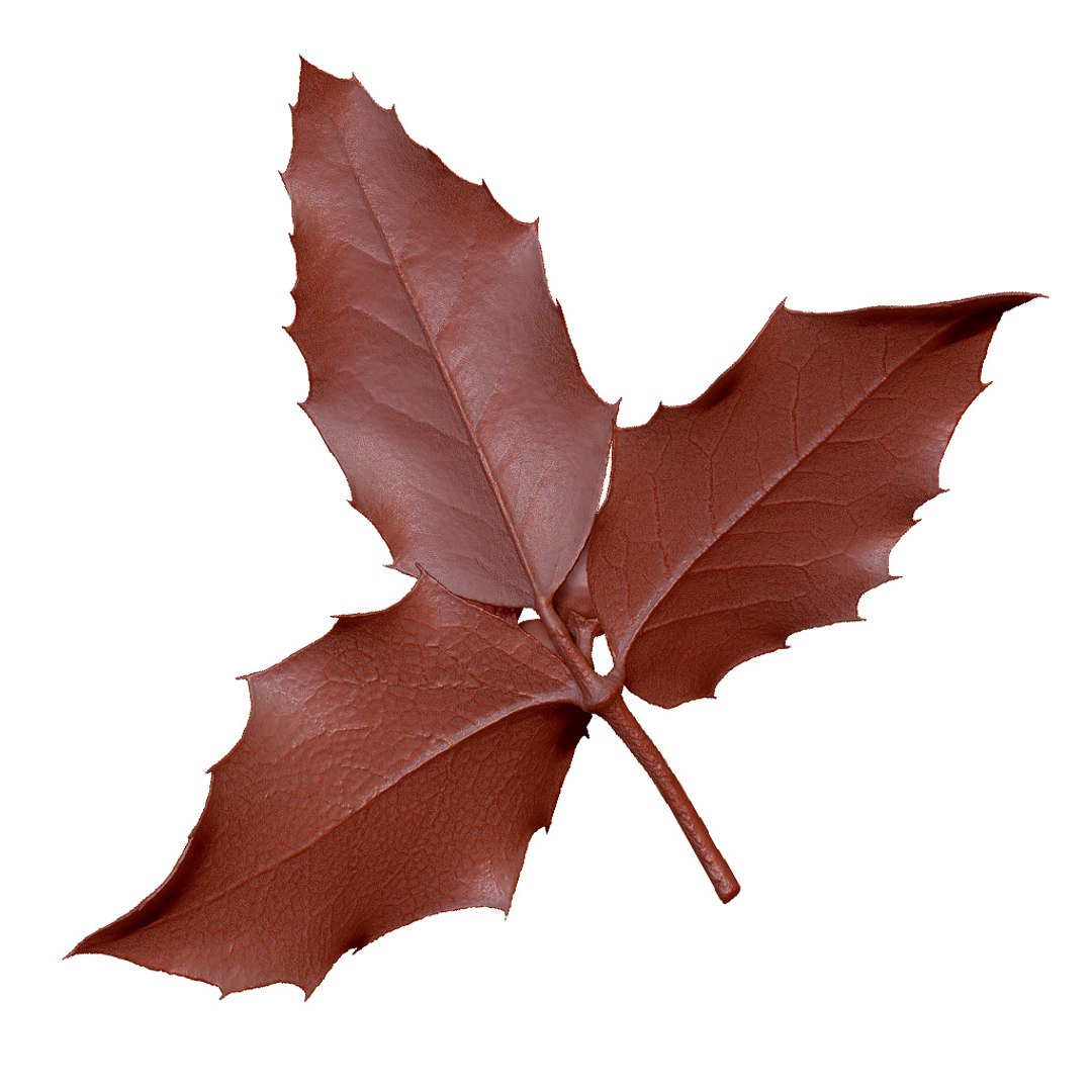 3D plant christmas https://p.turbosquid.com/ts-thumb/Mn/AERccN/mJnf7xoQ/preview_11/jpg/1601406625/1920x1080/fit_q87/a97146df3ccfb26aa0c200bf86d189c53f8171e6/preview_11.jpg