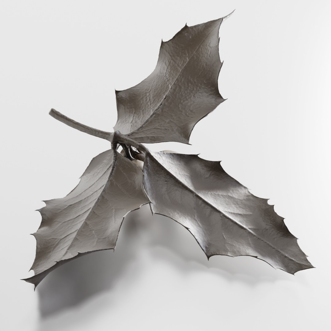 3D plant christmas https://p.turbosquid.com/ts-thumb/Mn/AERccN/qLKFlgUj/preview_08/jpg/1601406625/1920x1080/fit_q87/0d7ff268df2b808705766ca176e5173efd5938c3/preview_08.jpg