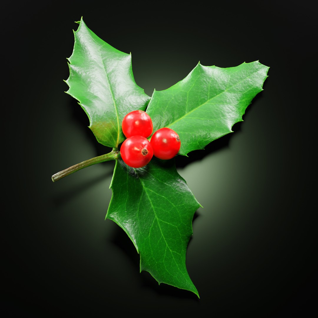3D plant christmas https://p.turbosquid.com/ts-thumb/Mn/AERccN/ywTD8osf/preview_04/jpg/1601406625/1920x1080/fit_q87/9e9556d90b35b4032bada2c8789c9dafc0fcff70/preview_04.jpg