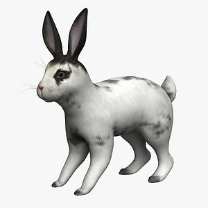 3d model rabbit bunny