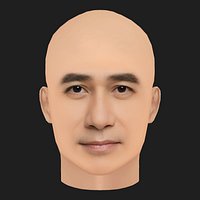 Low Poly Tony Leung Chiu-wai - Liang Chao Wei Head