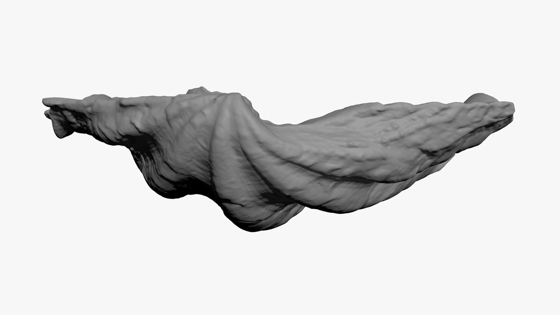 3D Giant Clam Shell Half for 3D Print model https://p.turbosquid.com/ts-thumb/Mn/afRtNZ/6W/giantclam03_b0010/jpg/1732127416/1920x1080/fit_q87/a32025b5a8dcf9090da14ee72915ef89b3702162/giantclam03_b0010.jpg