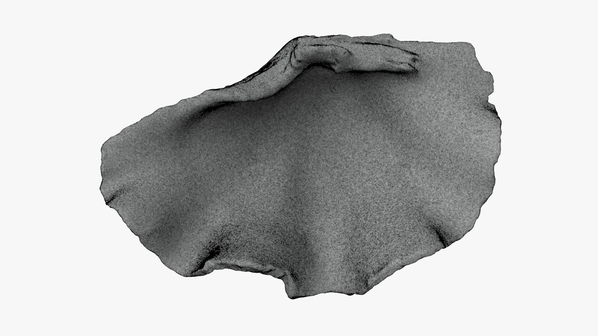3D Giant Clam Shell Half for 3D Print model https://p.turbosquid.com/ts-thumb/Mn/afRtNZ/Og/giantclam03_g0003/jpg/1732127423/1920x1080/fit_q87/884feb48f2e781abf890dbad31f9bbfafff89bfd/giantclam03_g0003.jpg