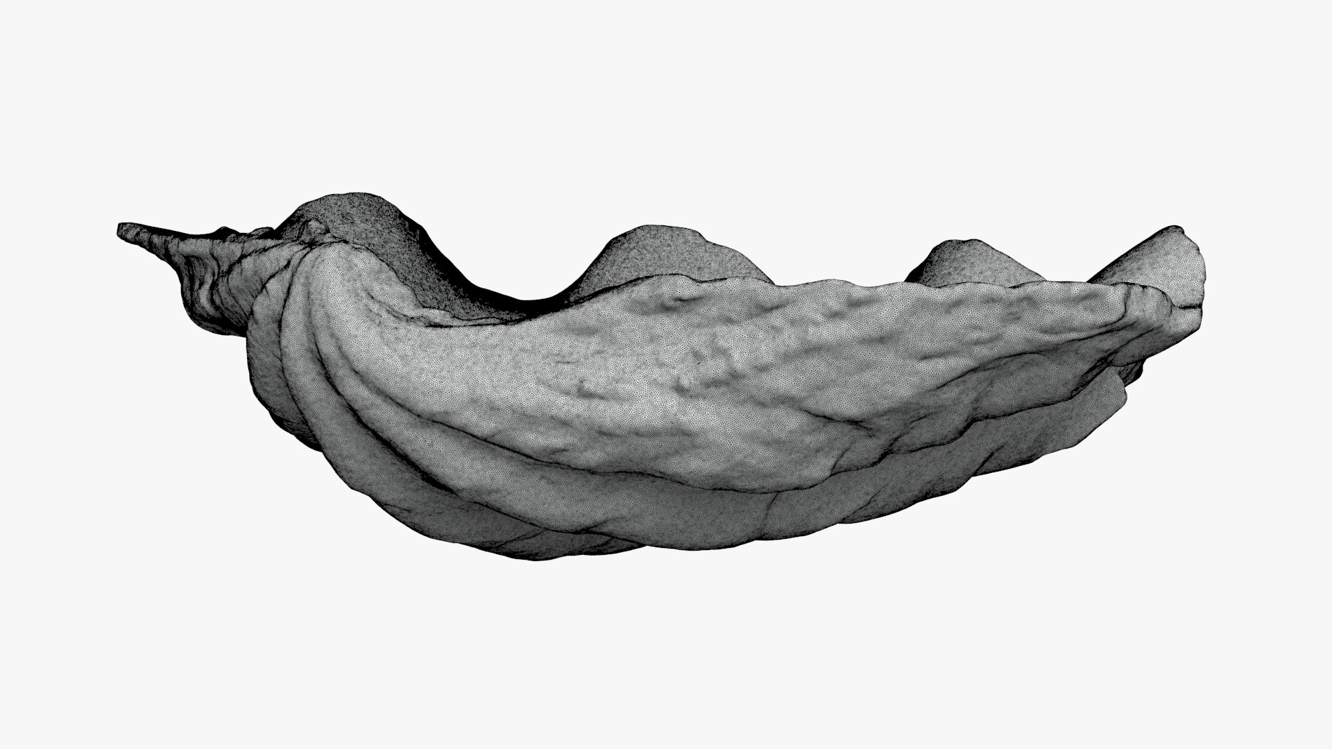 3D Giant Clam Shell Half for 3D Print model https://p.turbosquid.com/ts-thumb/Mn/afRtNZ/br/giantclam03_g0002/jpg/1732127421/1920x1080/fit_q87/7739aa53a5f871cc235a9d9f541040be481fafb6/giantclam03_g0002.jpg