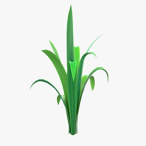 Cartoon Long Grass 01 3D model