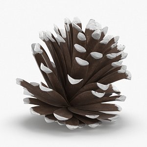 3D frosted-pine-cones---04