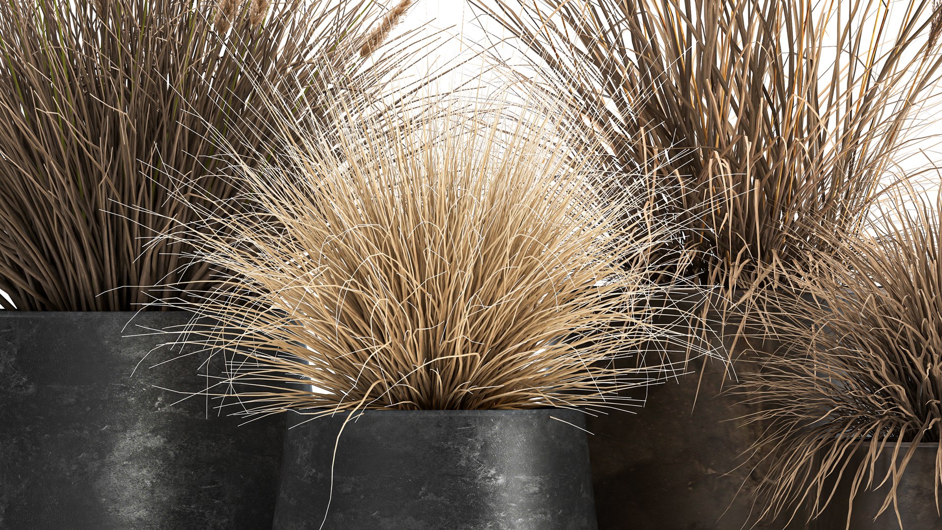 3D Dried Reeds In A Rusty Flowerpot For The Interior 1058 Model ...