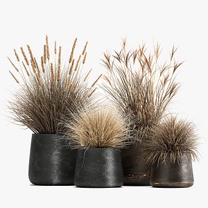 3D Dried Reeds in a rusty Flowerpot for the interior 1058 model